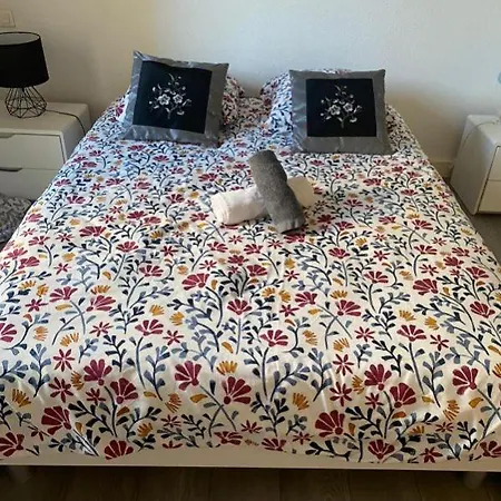 Spacieux En Plein Centre Appartement Sète